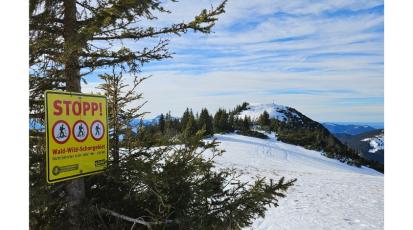 Stopp-Schild für Skifahrer auf dem schneebedeckten Hirschberg