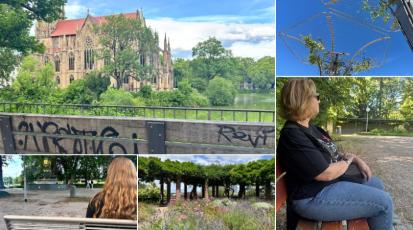Zu sehen ist eine Collage aus fünf Schattenplätzen in Stuttgart: Feuersee, Marienplatz, Akademiegarten, Killesberg, Kurpark