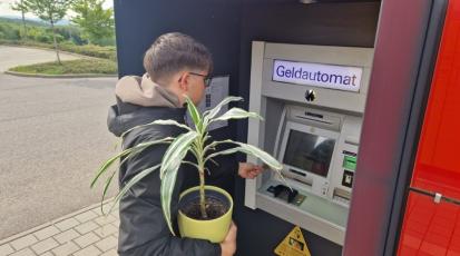Geld wird abgehoben mit Pflanze in der Hand