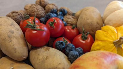 Sommerliche Tomaten und Blaubeeren direkt neben Kürbis und Äpfeln aus dem Herbst. Ein längst nicht mehr ungewöhnliches Bild.