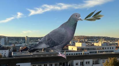 Eine Stadttaube mit einem Ölzweig im Schnabel sitzt auf einem Geländer mit Blick auf Stuttgart