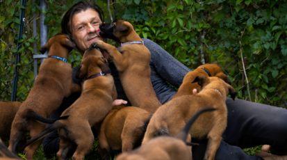 Ein Mann liegt auf einem grünen Rasen, während um ihn herum Hundewelpen liegen. 