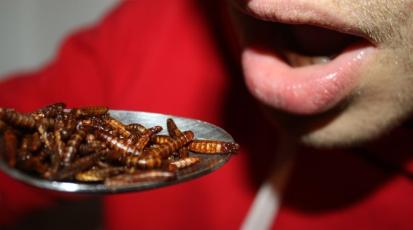 Nahaufnahme eines Löffels voller Mehlwürmer, der zum Mund geführt wird.