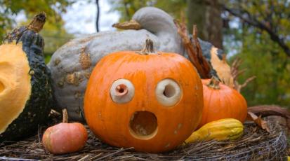 Kürbisfigur mit erschrockenem Gesicht.