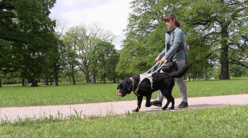 Eine junge Frau im Park, gemeinsam mit ihrem Blindenführhund.
