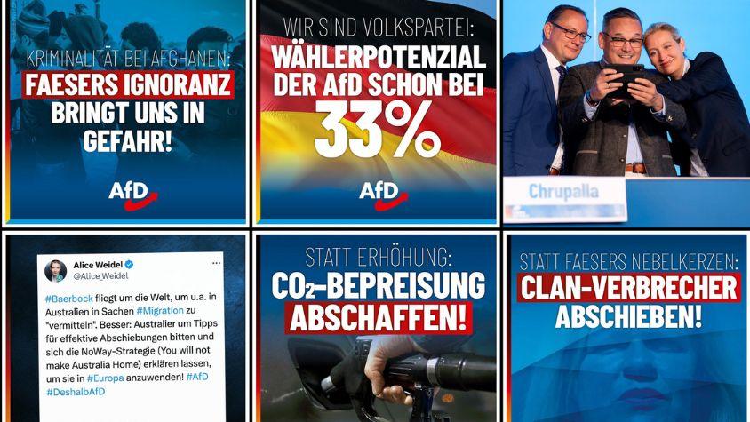 Instagram Page der AfD