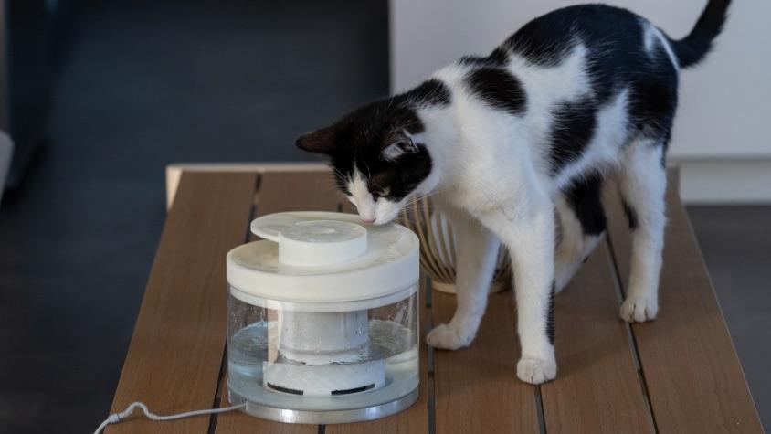 Hydrasel: Smarter Trinkbrunnen für Katzen