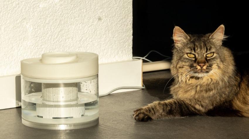 Hydrasel: Smarter Trinkbrunnen für Katzen