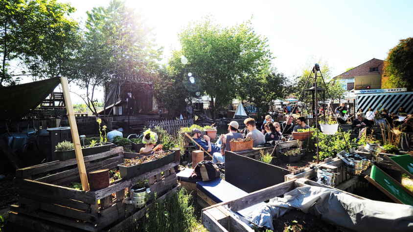 Einblick in den Garten von Inselgrün