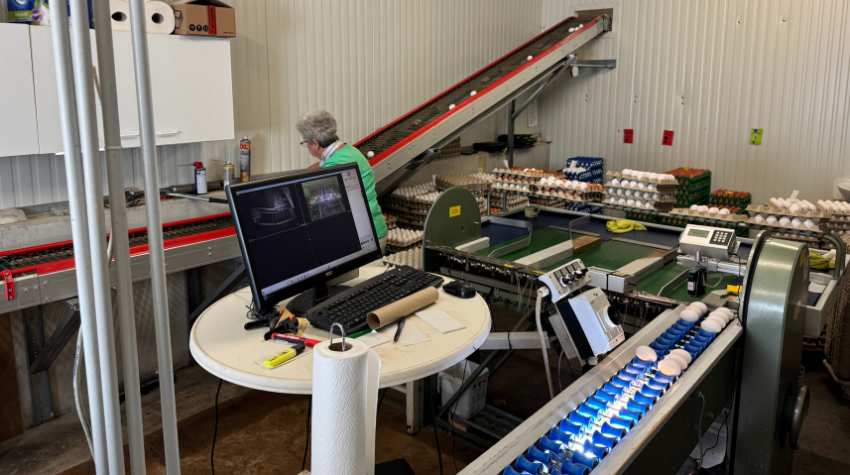 Der Eier-Sortierraum.