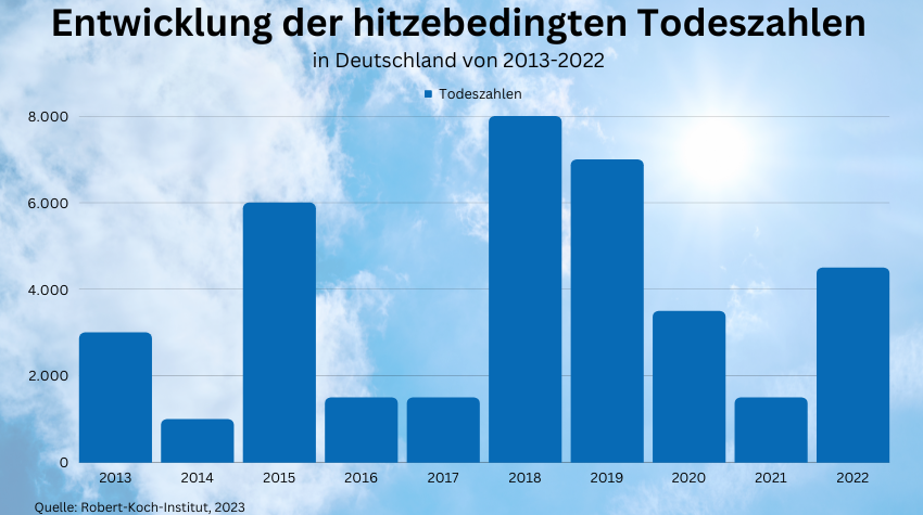 Statistik zum Thema Hitebedingte Tote in Deutschland 