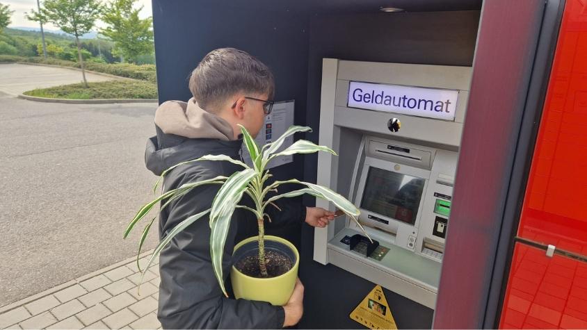 Geld wird abgehoben mit Pflanze in der Hand