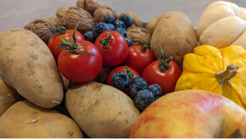 Sommerliche Tomaten und Blaubeeren direkt neben Kürbis und Äpfeln aus dem Herbst. Ein längst nicht mehr ungewöhnliches Bild.