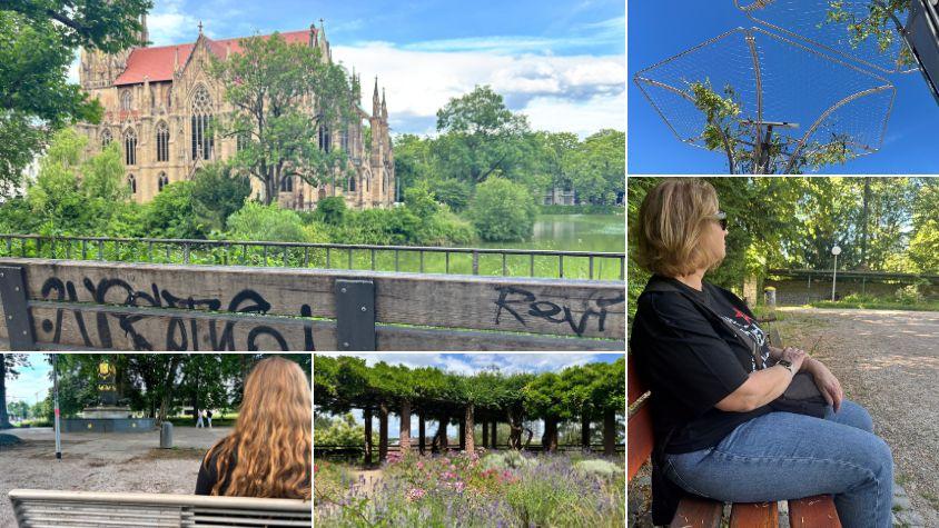 Zu sehen ist eine Collage aus fünf Schattenplätzen in Stuttgart: Feuersee, Marienplatz, Akademiegarten, Killesberg, Kurpark