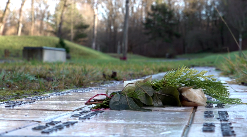 Eine welke Rose liegt auf einer Namenskachel für eine unbedacht verstorbene Person.