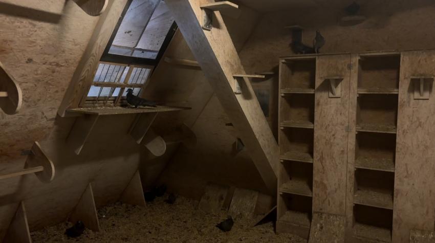 Der Taubenschlag in der Leonhardskirche mit einzelnen Nischen und einem Ein- und Ausgang für die Tauben