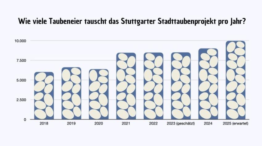 Infografik: Wie viele Taubeneier tauscht das Stuttgarter Stadttaubenprojekt jedes Jahr?