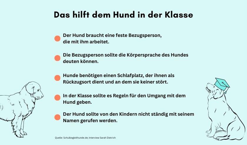 Diese Punkte helfen dem Hund in der Klasse.
