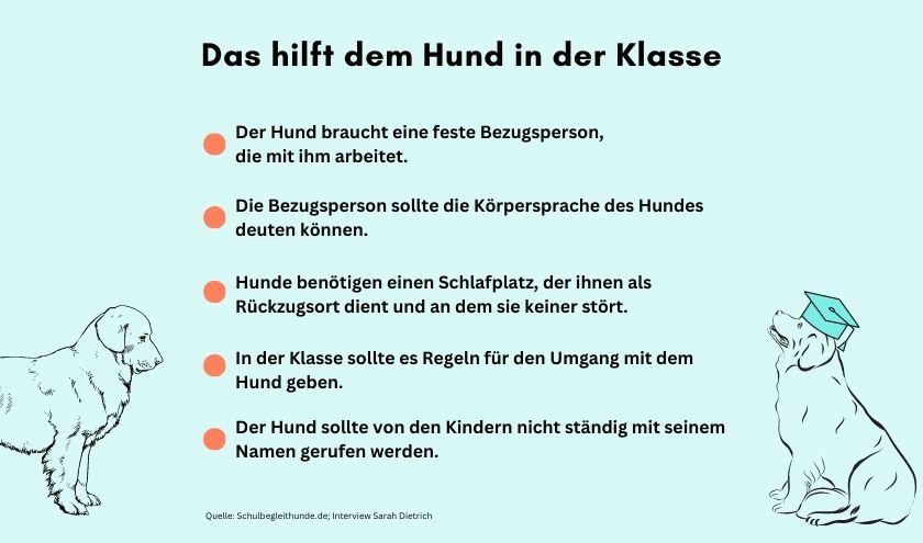 Diese Punkte helfen dem Hund in  der Klasse. 