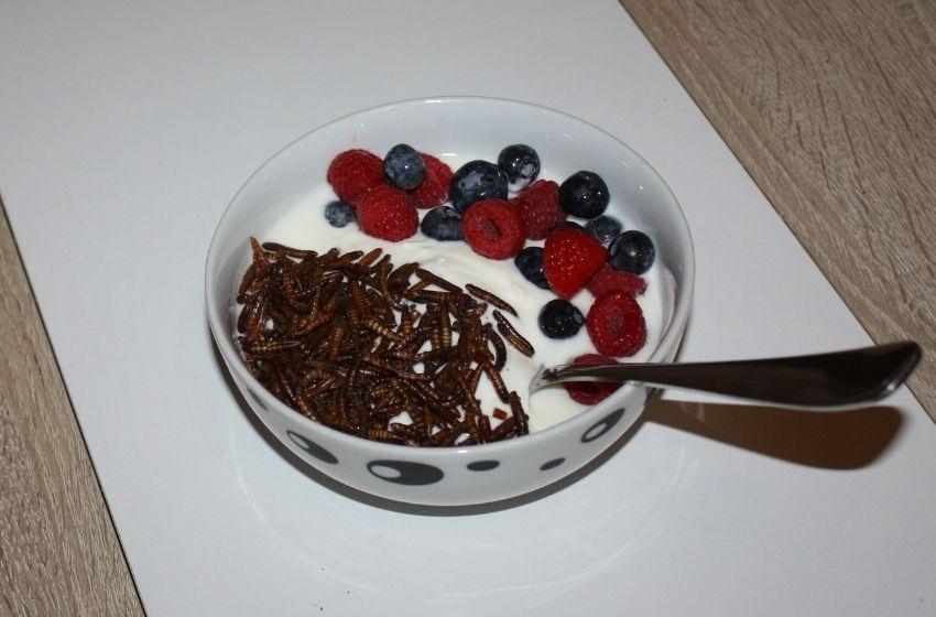 Löffel in Müslischale mit Joghurt, Beeren und Mehlwürmern.