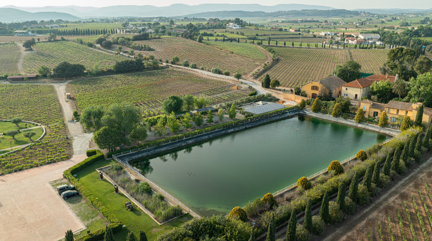 Aerial view over a water reservoir and surrounding vineyards at Familia Torres, a historic Spanish family winery in Catalonia.