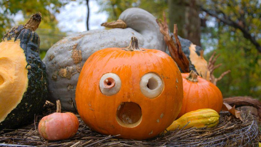 Kürbisfigur mit erschrockenem Gesicht.