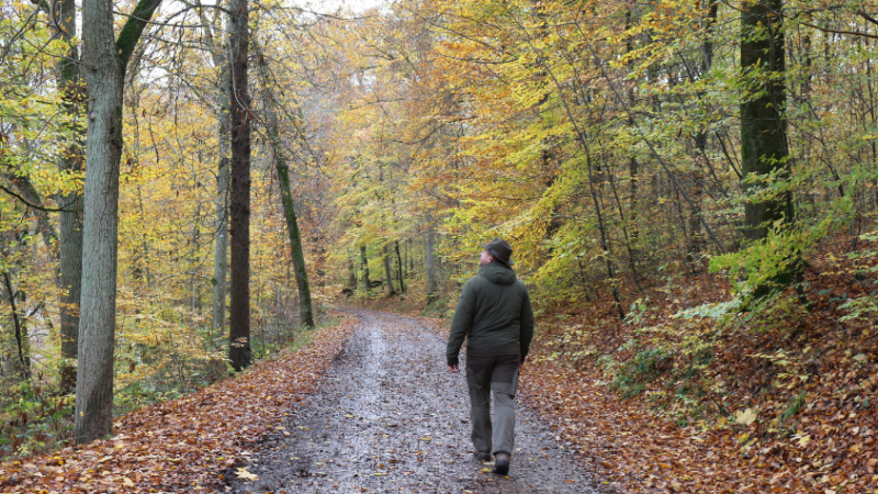 Eine Person die auf einem Waldweg läuft