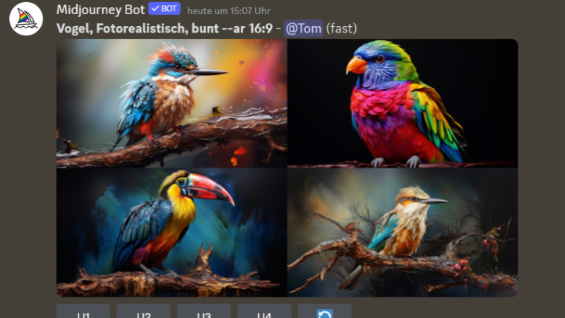 Screenshot aus dem KI-Programm "Midjourney". Es wurden durch die KI Bilder von verschiedenen Vögeln generiert.