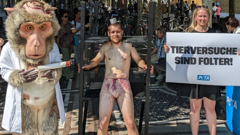 Der Klimaaktivist Moritz Riedacher protestiert mit „PETA“ gegen Tierversuche. Dabei steht er mit Fake-Blut bespritzt in einer Fußgängerzone. 