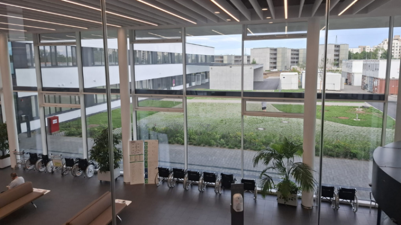 Das Klinikum von innen mit Pflanzen und breiten Fenstern.