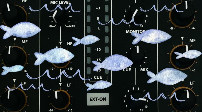 Vor einem Mischpult sind Fische zu sehen