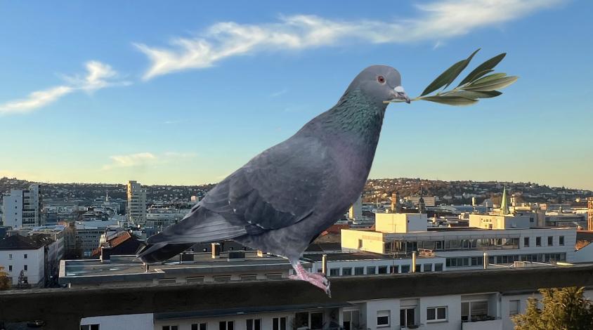 Eine Stadttaube mit einem Ölzweig im Schnabel sitzt auf einem Geländer mit Blick auf Stuttgart